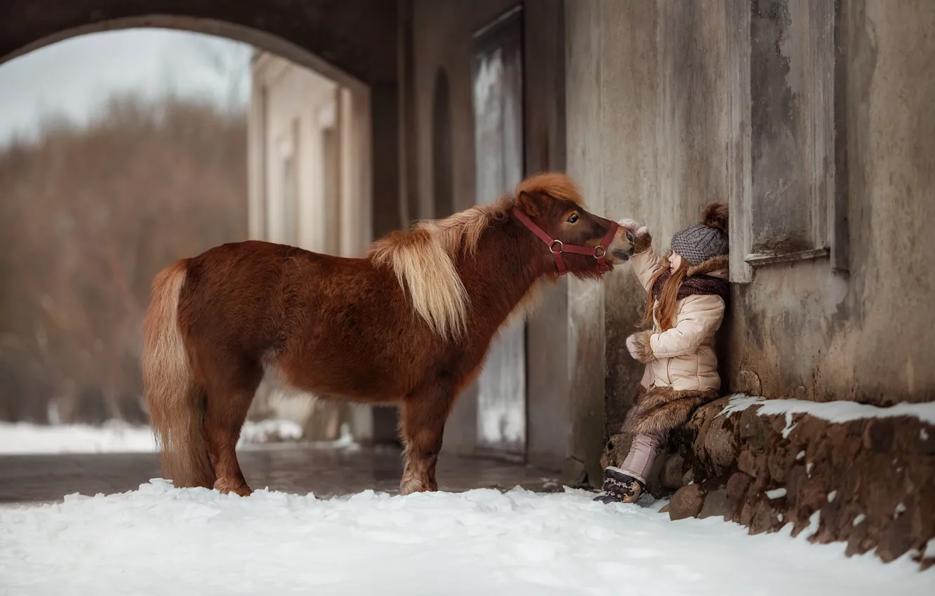 Фото обои зима, дружба, девочка, пони, лошадка
