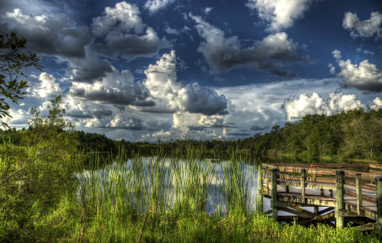 Фото обои лес, небо, облака, озеро, камыши, причал, hdr, США