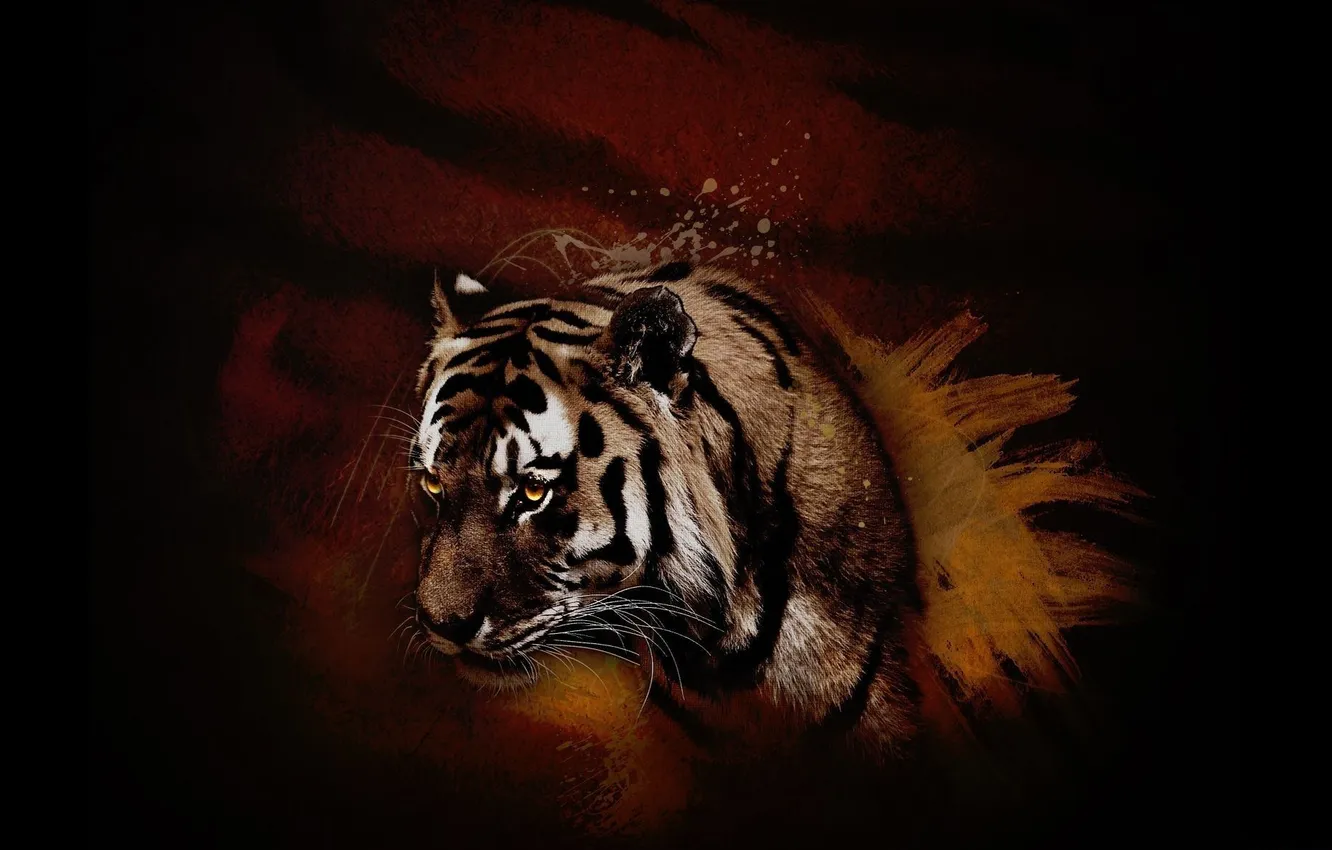 Фото обои оранжевый, красный, тигр, животное, хищник, зверь, коричневый