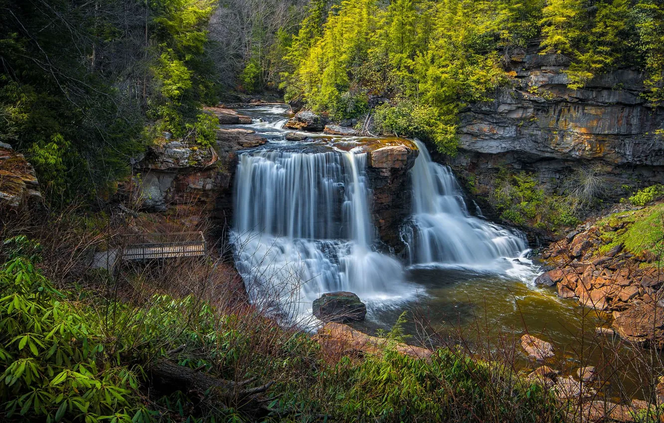 Фото обои лес, скала, река, водопады, каскад, West Virginia, Западная Виргиния, Blackwater River
