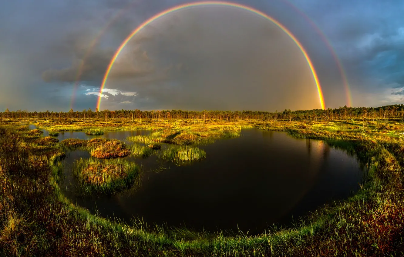 Фото обои болото, радуга, после дождя, Ленинградская область