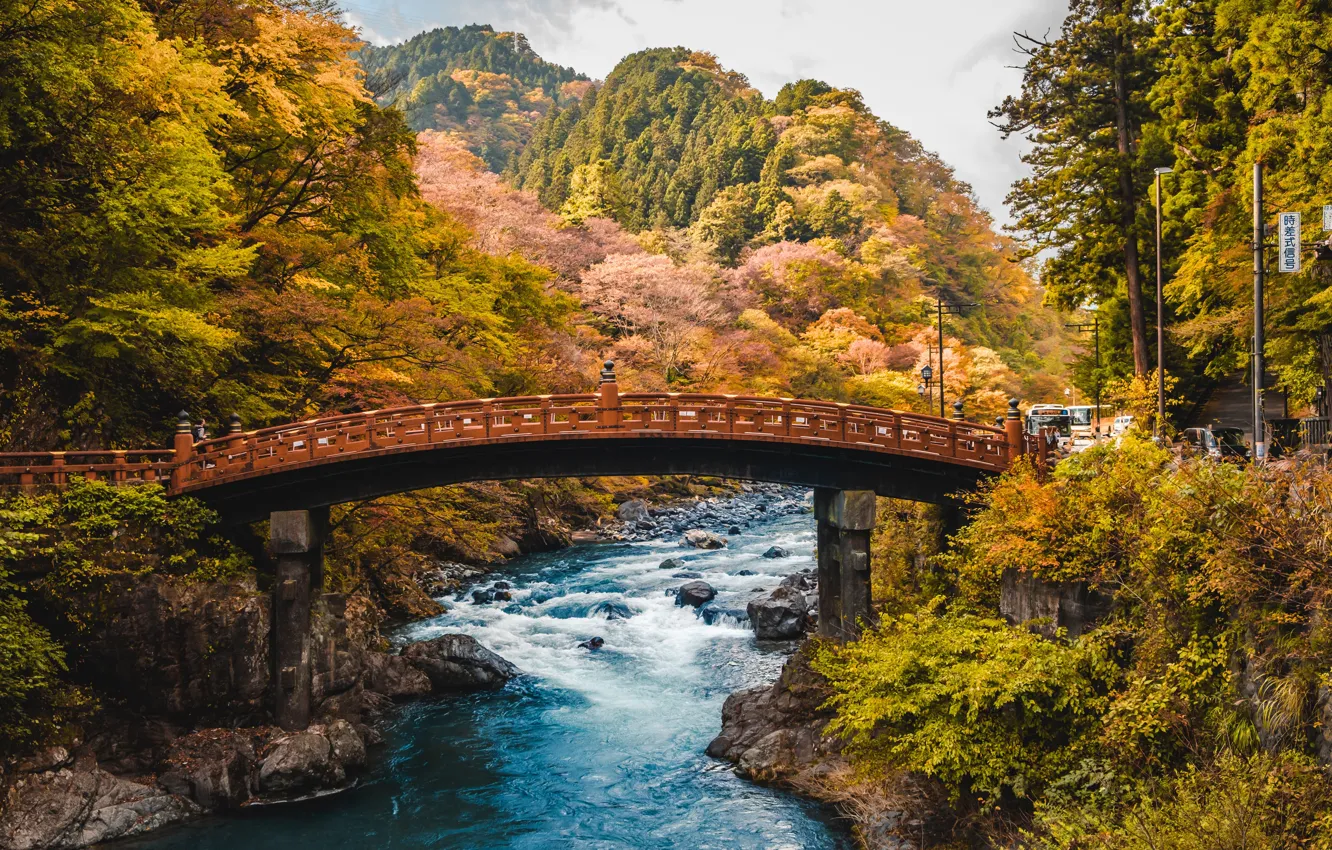 Фото обои осень, лес, деревья, горы, мост, ручей, камни, Япония