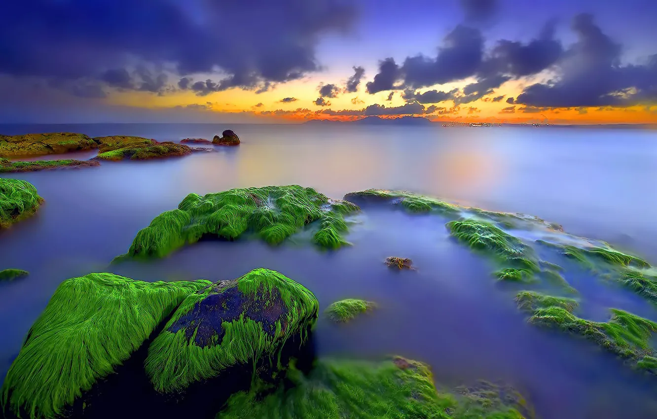 Фото обои rock, sea, sunset, moss