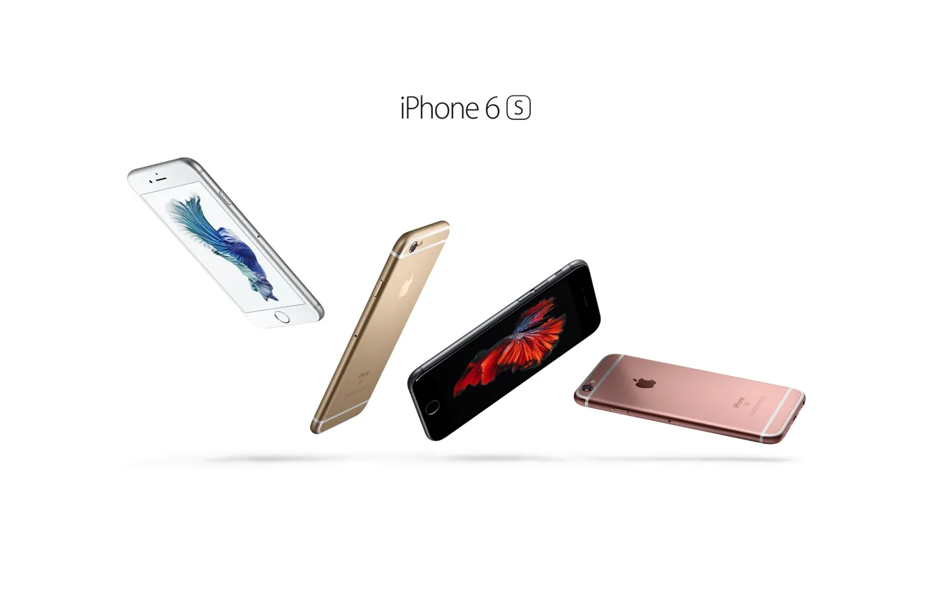 Фото обои Apple, iPhone, The new iPhone 6s