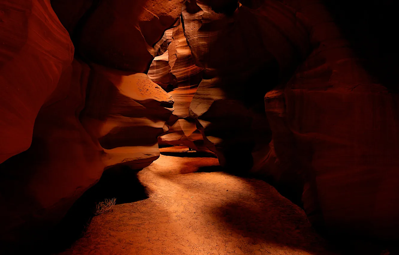 Фото обои макро, скала, камни, скалы, пустыня, камень, пещера, сша