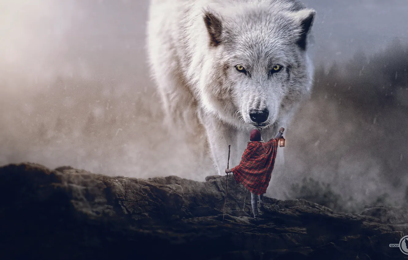 Фото обои digital art, polar wolf, sciencie fiction adventures, wolf wallpaper