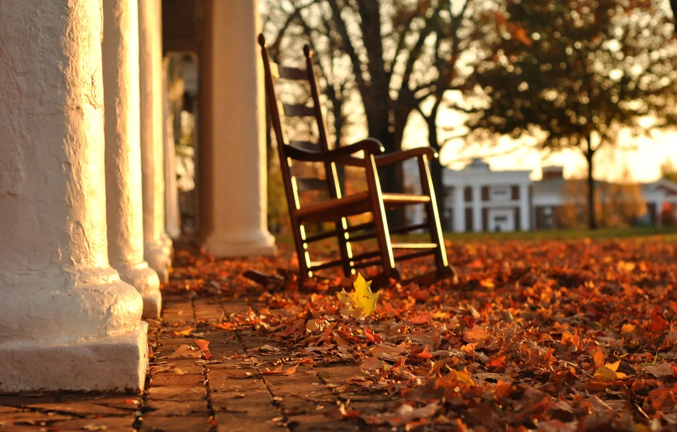 Фото обои осень, листья, стул, Пенсильвания