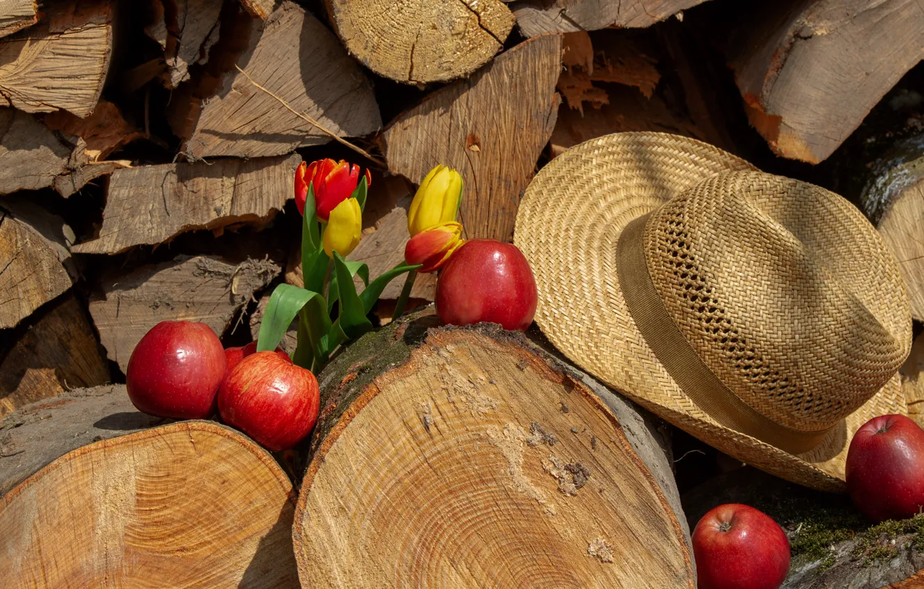 Фото обои цветы, настроение, яблоки, шляпа, желтые, тюльпаны, красные, дрова