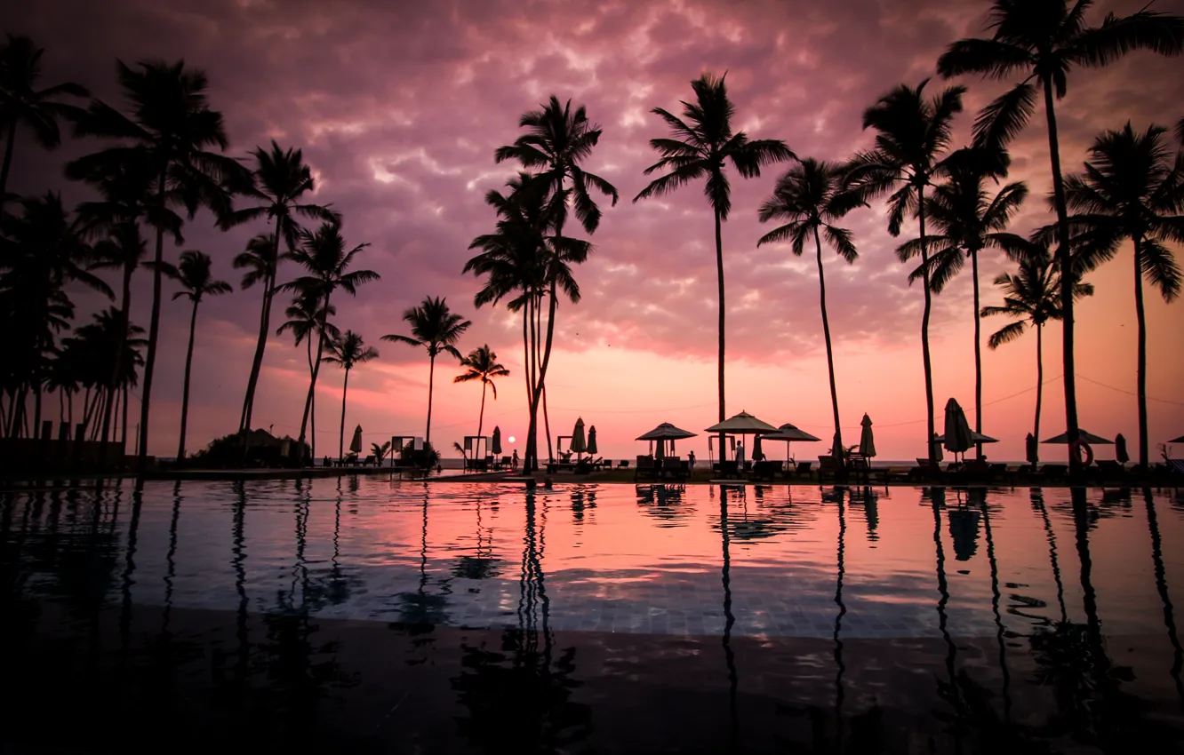 Фото обои pool, sunset, clouds, palm trees, Sri Lanka, Negombo Beach, Negombo, South Asia
