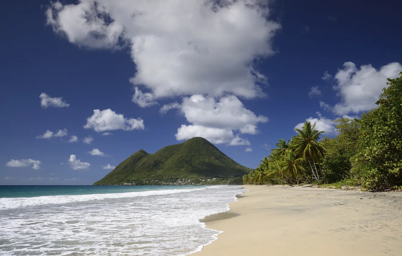 Фото обои песок, пляж, небо, облака, пальмы, гора, Океан