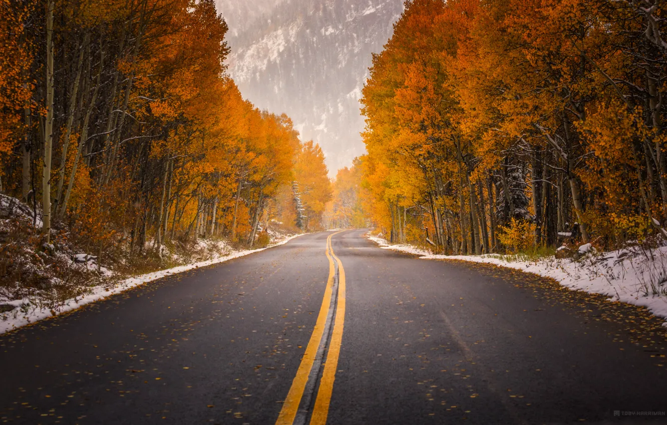 Фото обои дорога, осень, краски, Колорадо, США, в Аспен