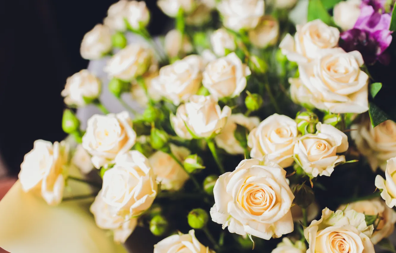 Фото обои розы, букет, красивая