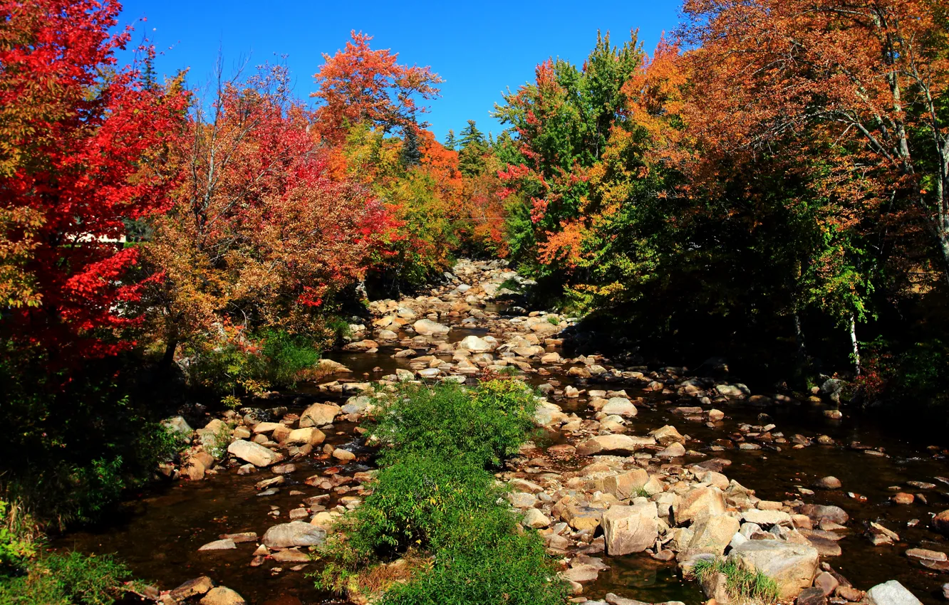 Фото обои осень, деревья, природа, камни, Nature, trees, autumn, fall