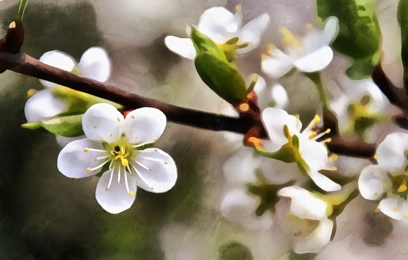 Фото обои ветка, весна, рисованное, цветущая вишня