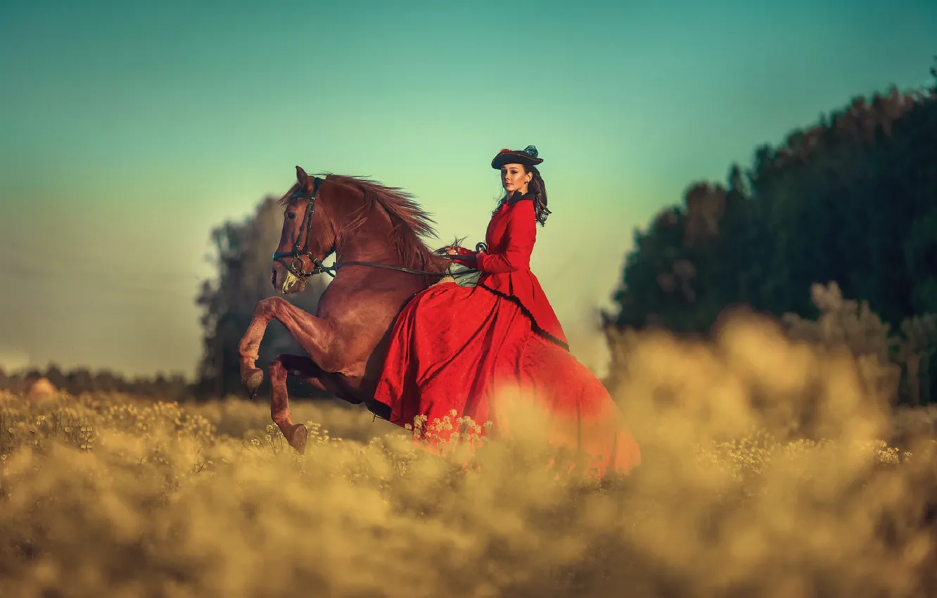 Фото обои поле, небо, девушка, лошадь, платье, брюнетка, Анюта Онтикова