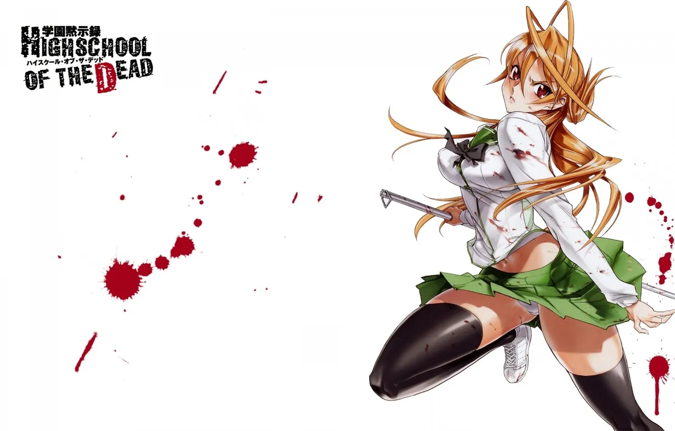 Фото обои highschool of the dead, hotd, miyamoto rei