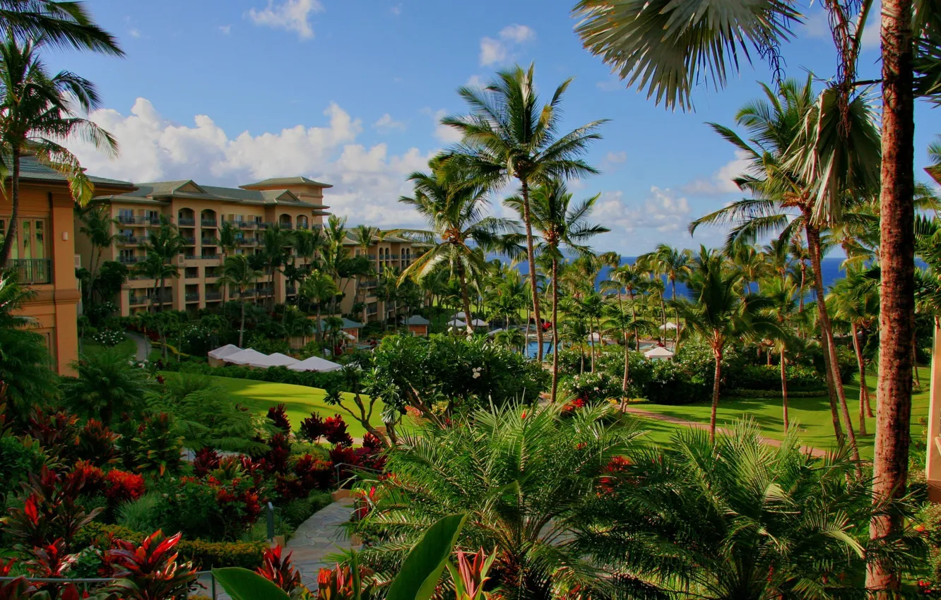 Фото обои море, цветы, пальмы, бассейн, отель, гавайи