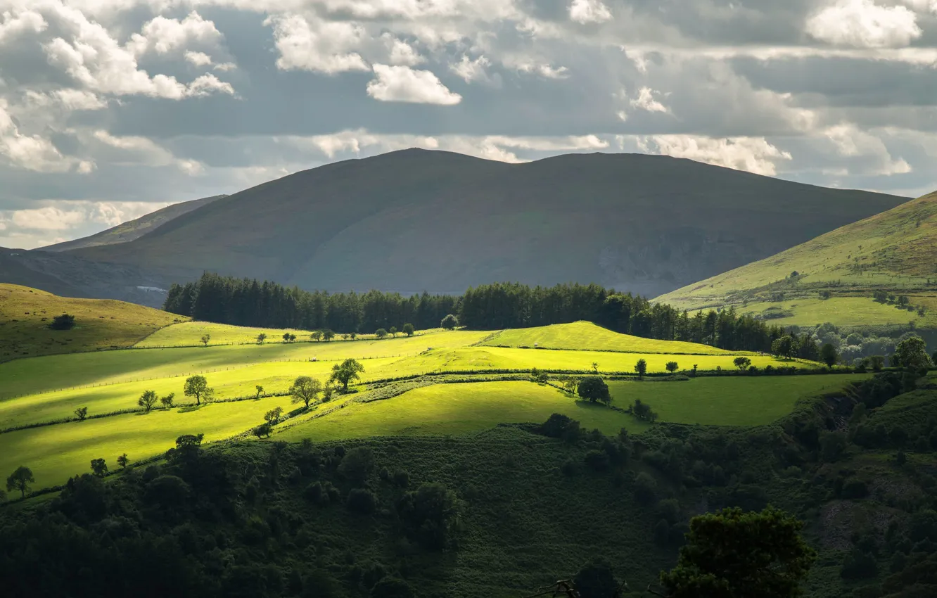 Фото обои поле, лес, небо, солнце, облака, деревья, горы