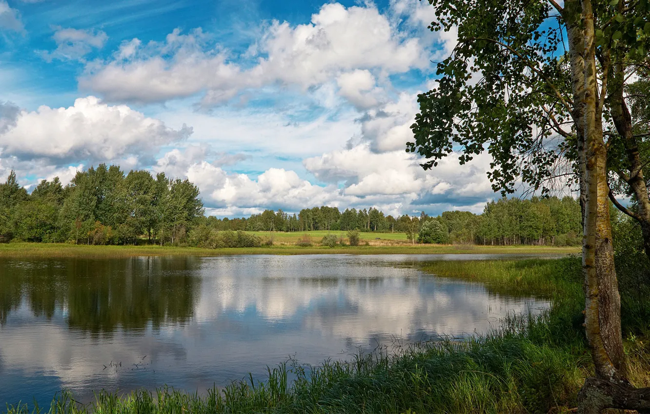 Фото обои небо, вода, деревья, природа