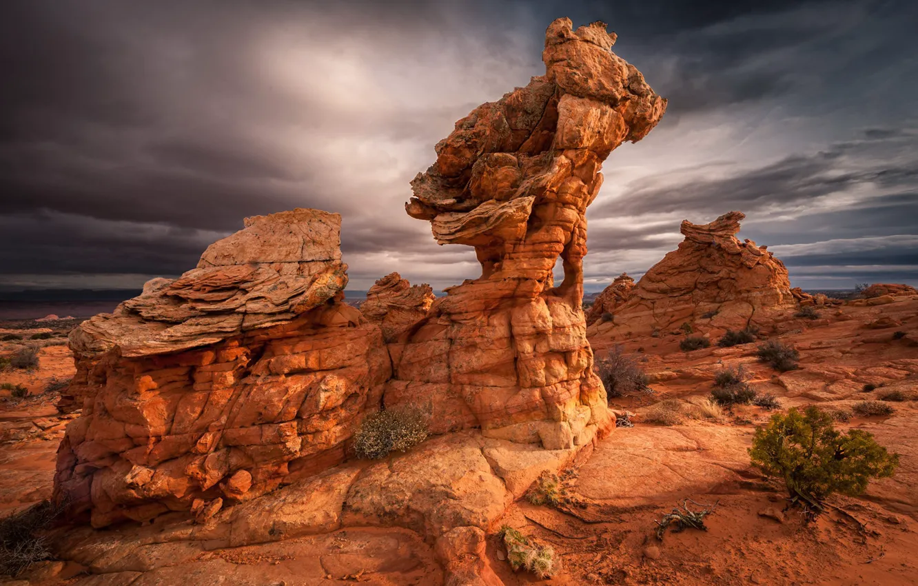 Фото обои Arizona, Vermilion Cliffs Wilderness, South Coyote Buttes