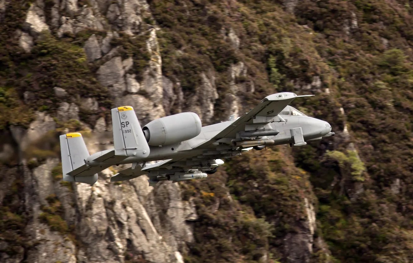 Фото обои фон, полёт, штурмовик, A-10, Thunderbolt II
