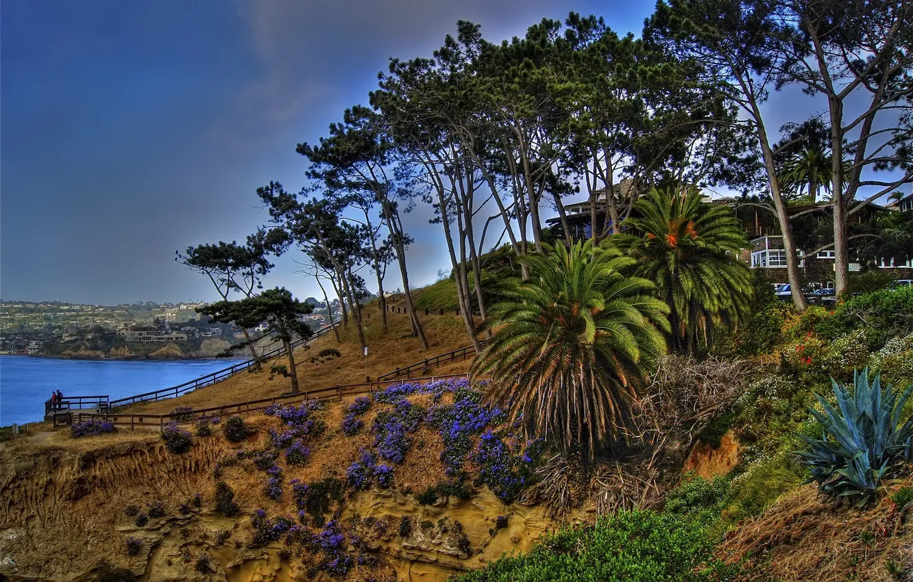 Фото обои небо, деревья, цветы, природа, скалы, залив, сша, California