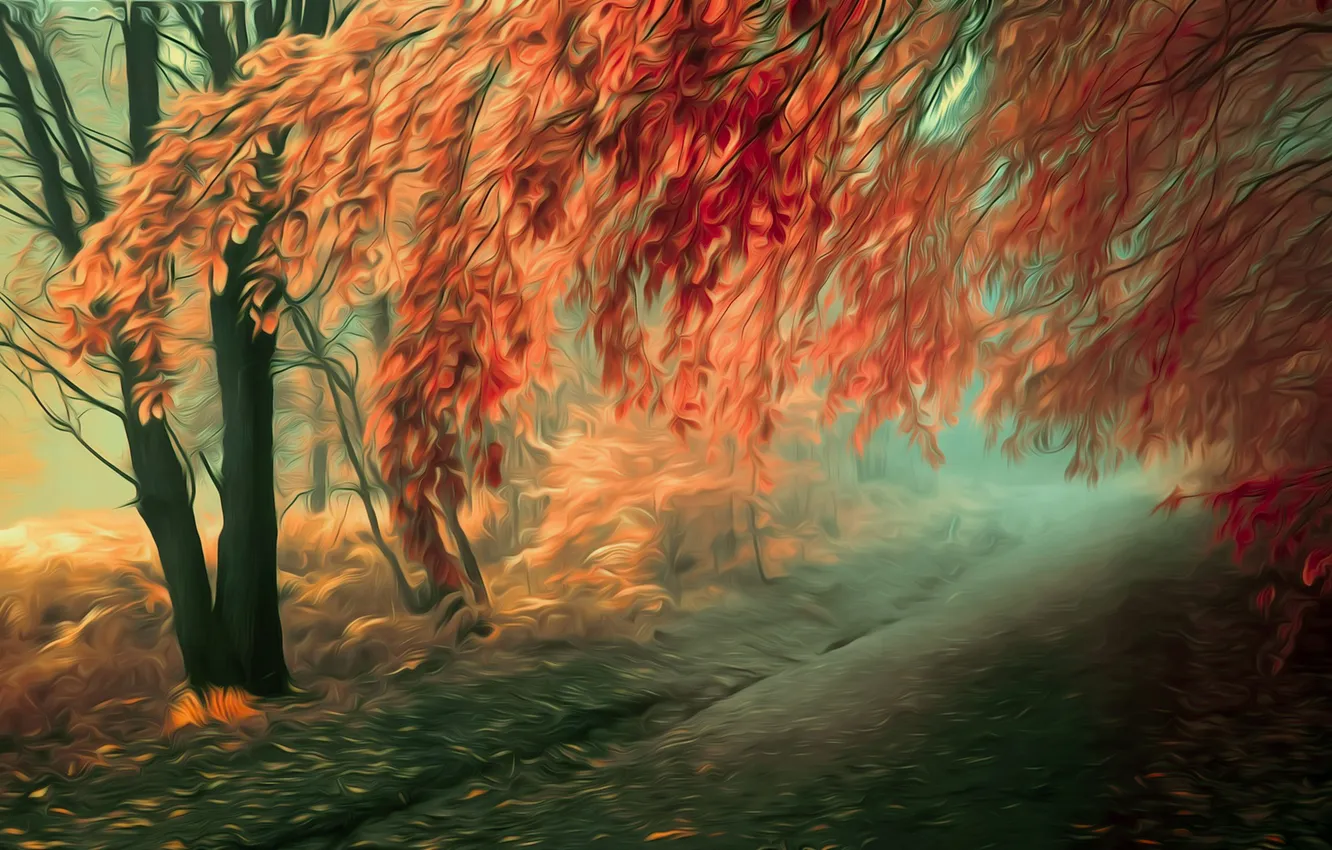 Фото обои дорога, осень, листья, деревья, ветви