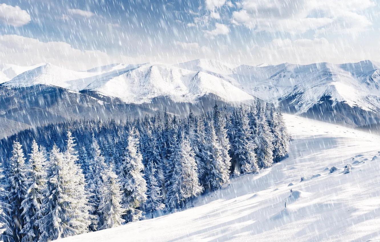 Фото обои зима, лес, облака, горы, ёлки, снегопад