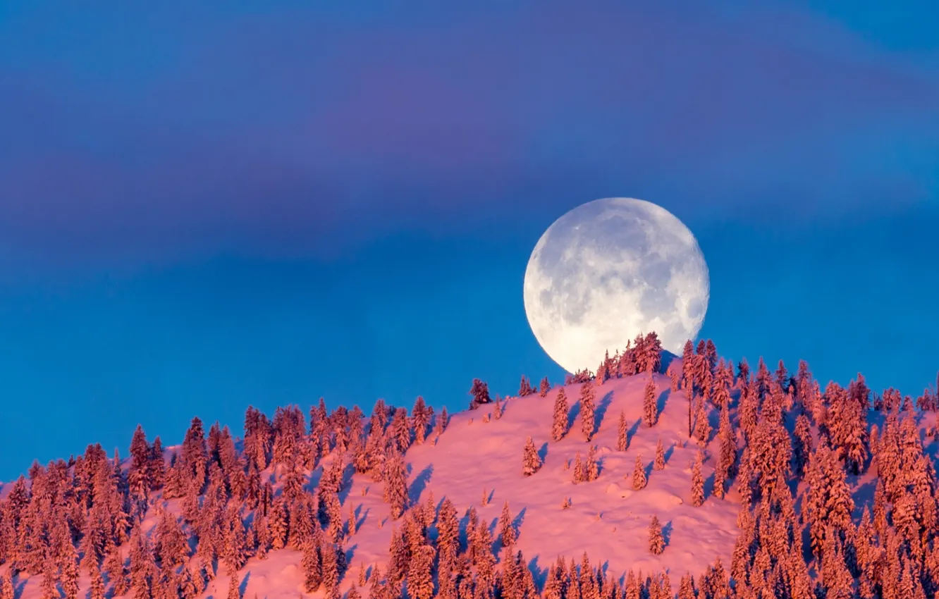 Фото обои зима, небо, луна