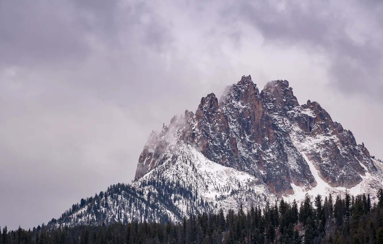 Фото обои зима, небо, облака, снег, деревья, горы, природа, скалы