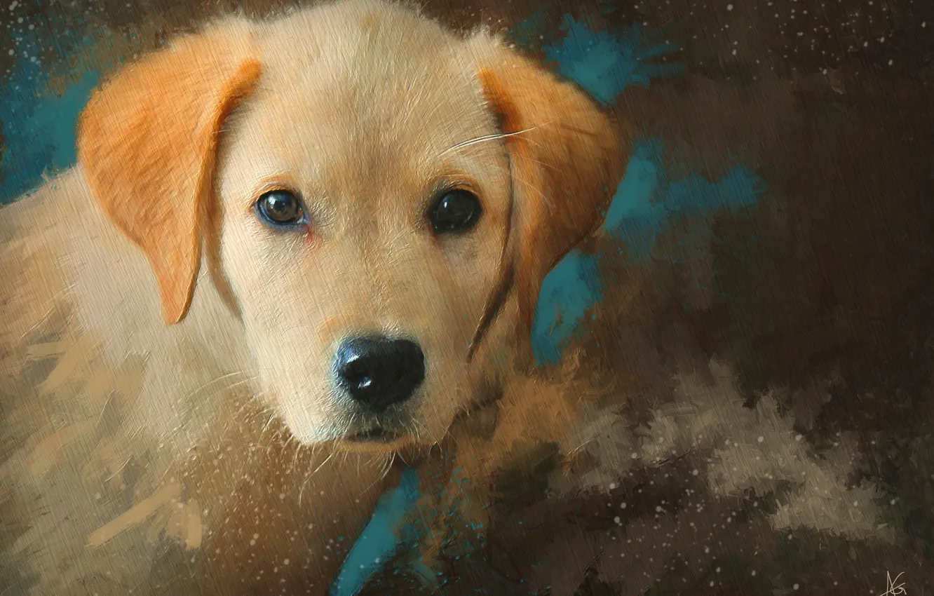 Фото обои морда, рисунок, портрет, собака, картина, рыжий, щенок, живопись