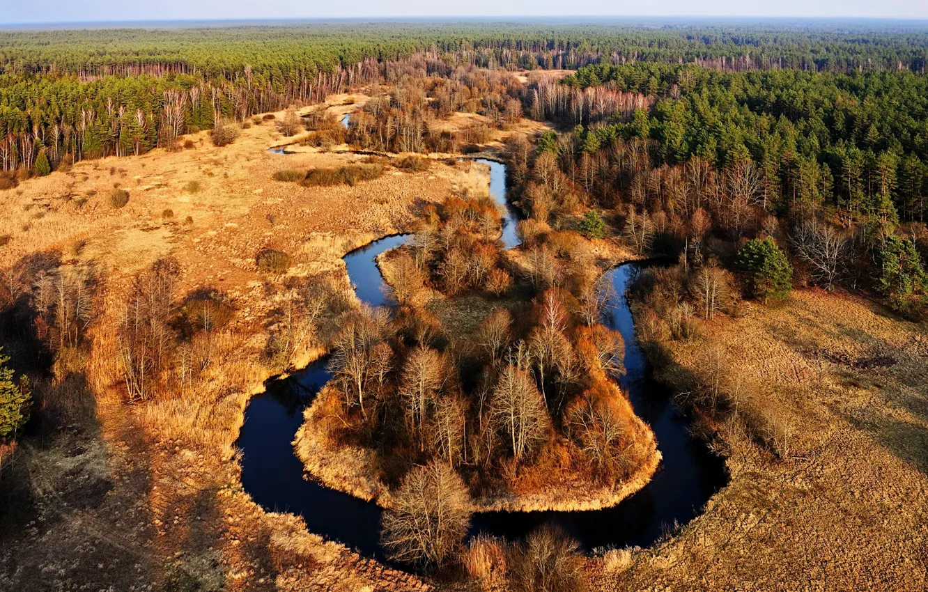 Фото обои Lietuva, miškas, upė