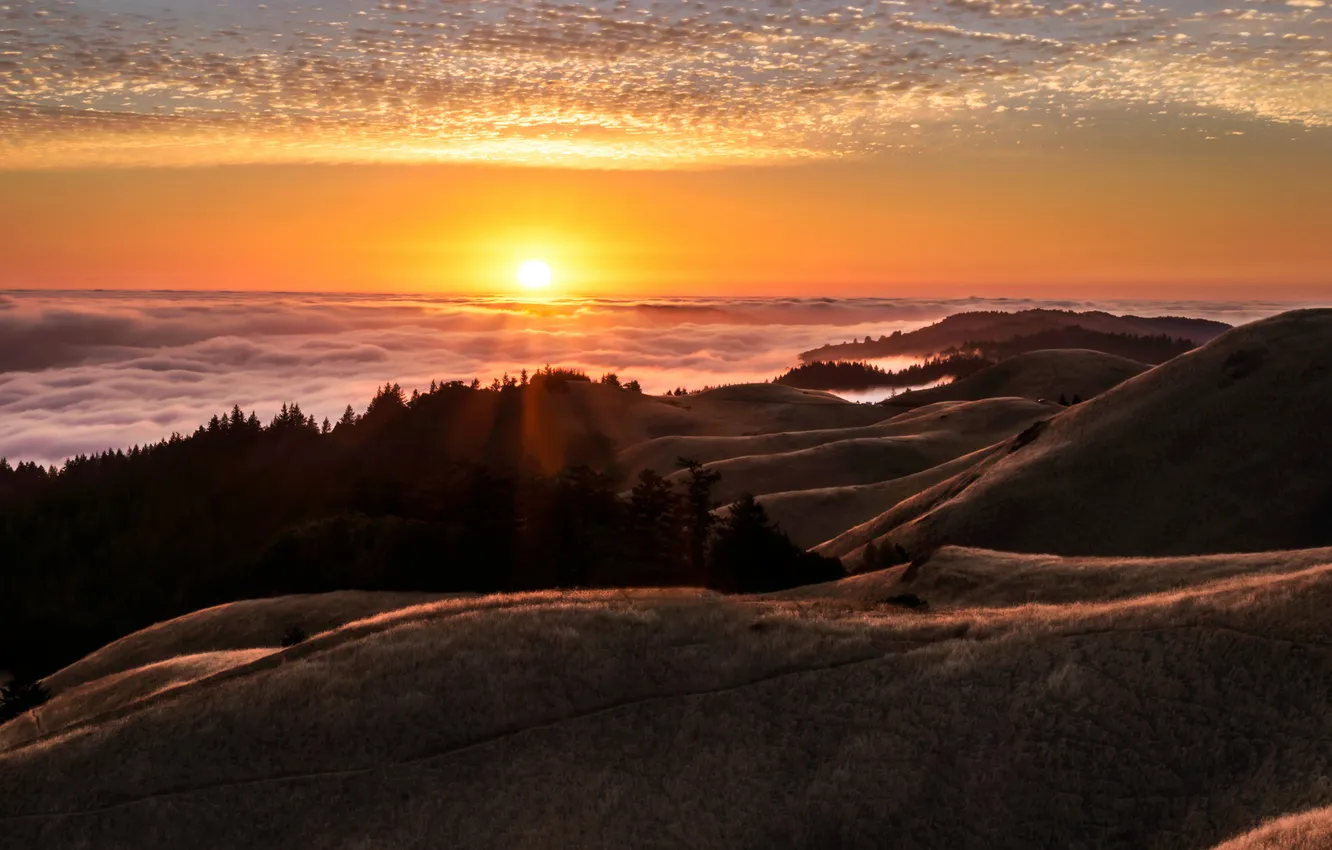 Фото обои небо, природа, California Sunset