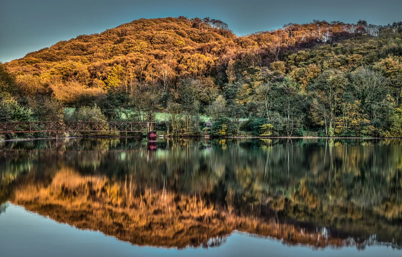 Фото обои осень, лес, мост, озеро, отражение, холмы, Англия, England