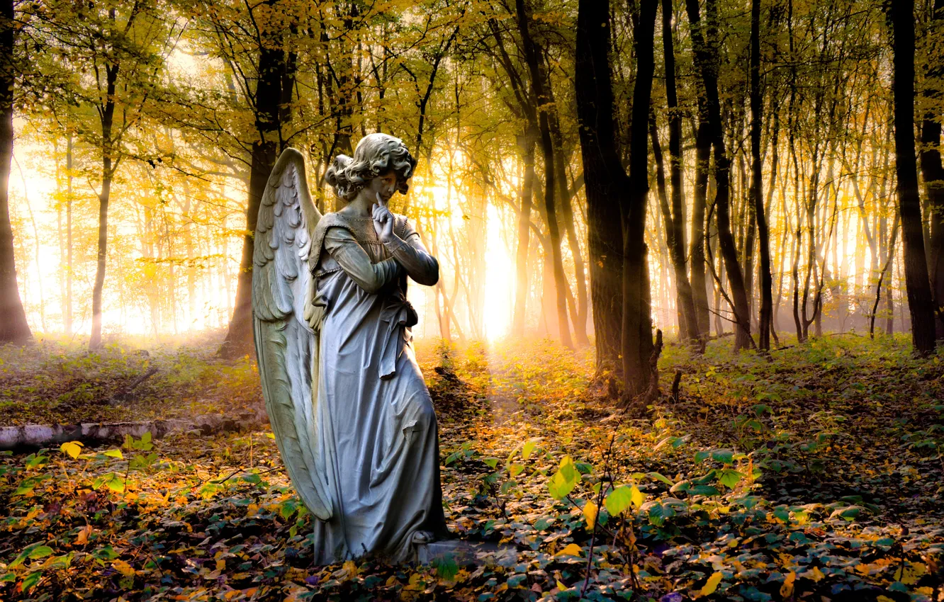 Фото обои forest, trees, angel, statue