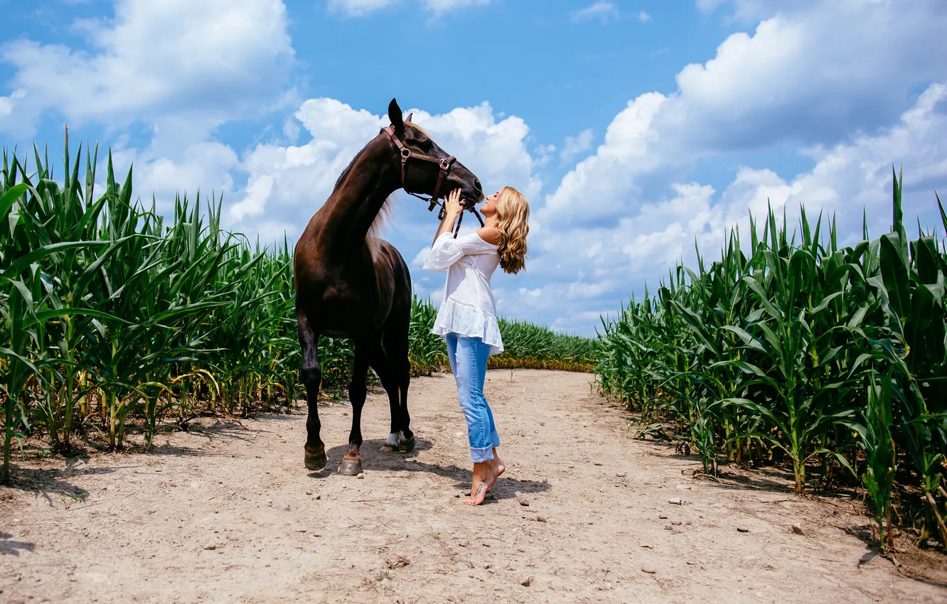 Фото обои девушка, лошадь, блондинка