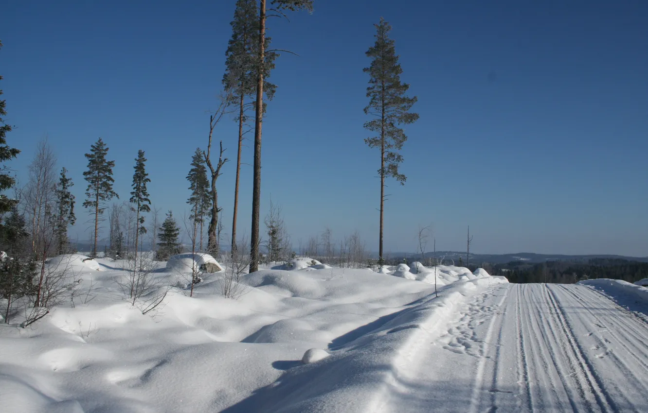 Фото обои зима, дорога, снег, деревья, природа, утро, мороз, Nature