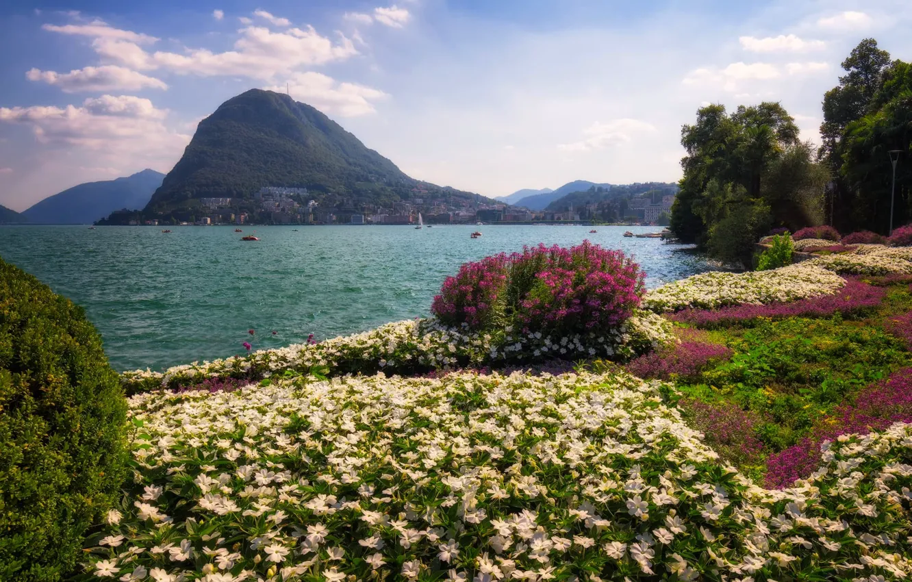 Фото обои цветы, горы, озеро, Швейцария, Альпы, Лугано, Parco Ciani