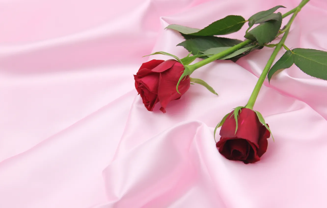 Фото обои фон, розы, Цветы, букет, Розовый, Ткань