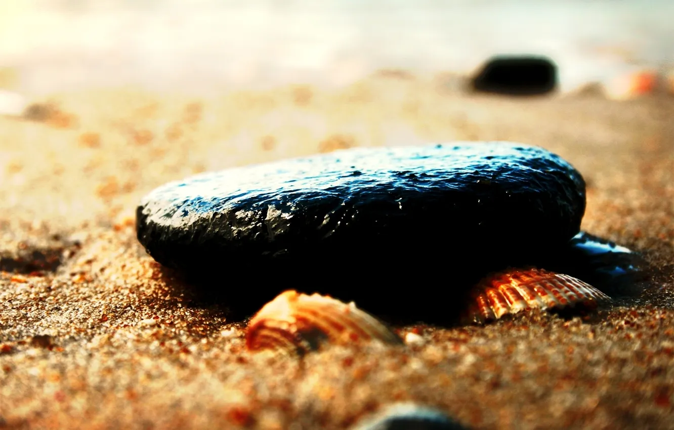 Фото обои песок, пляж, макро, галька, камни, ракушки, морская тематика