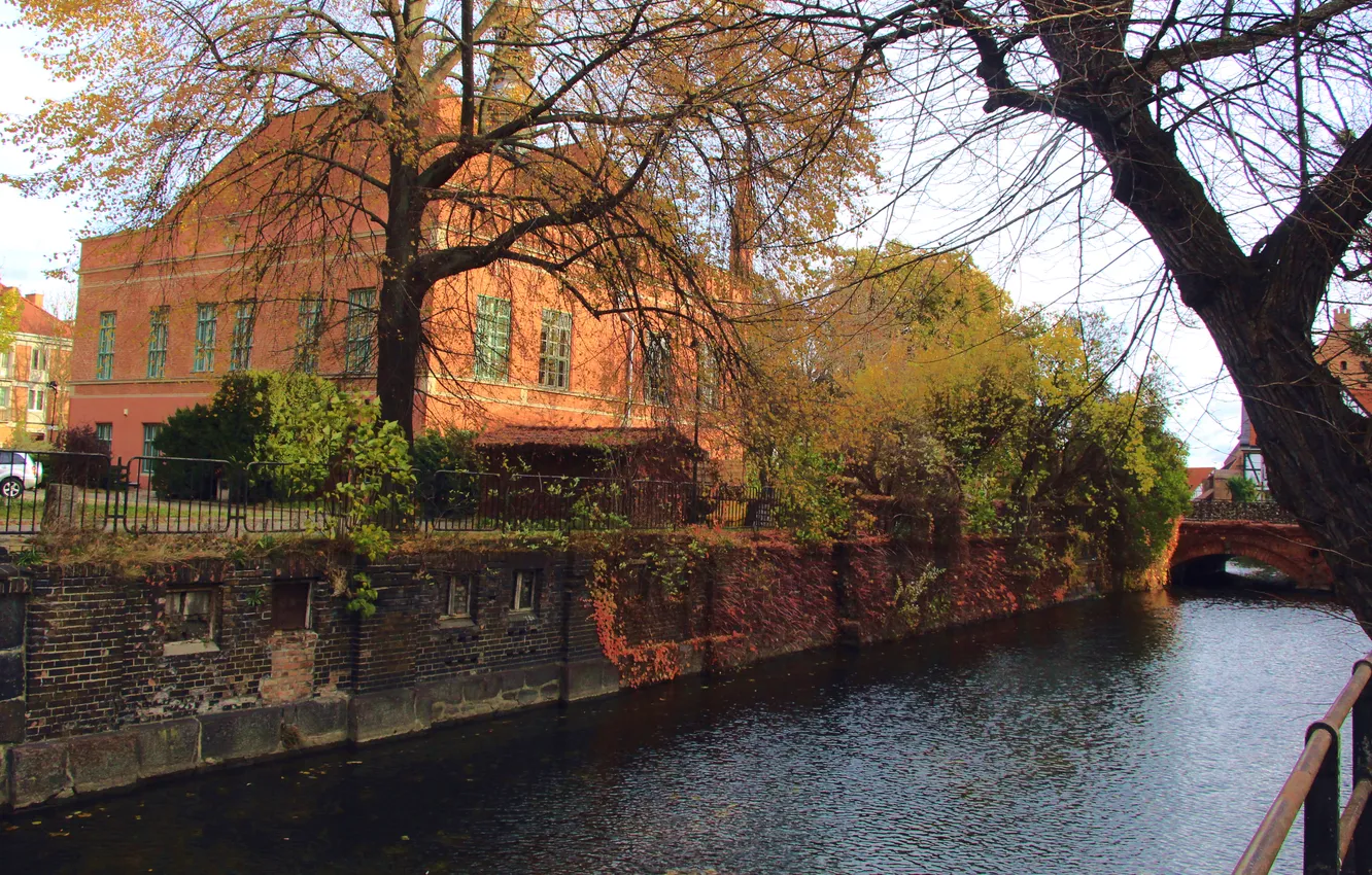 Фото обои city, house, river, trees