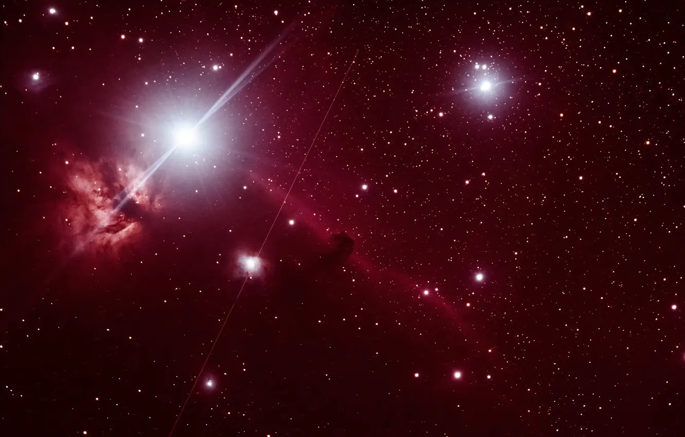 Фото обои nebula, Horsehead, IC434