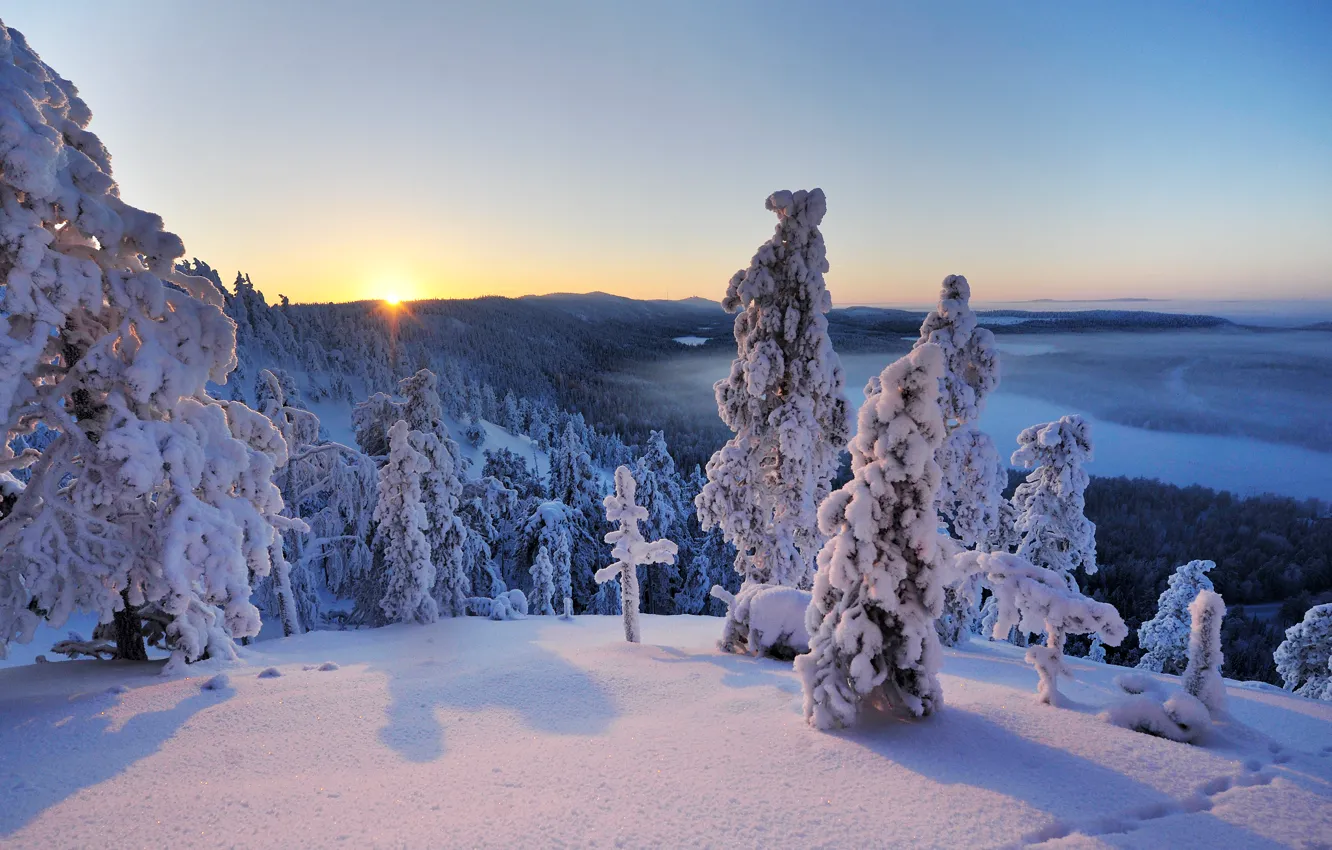 Фото обои зима, снег, деревья, пейзаж, Рука, панорама, Финляндия, Finland