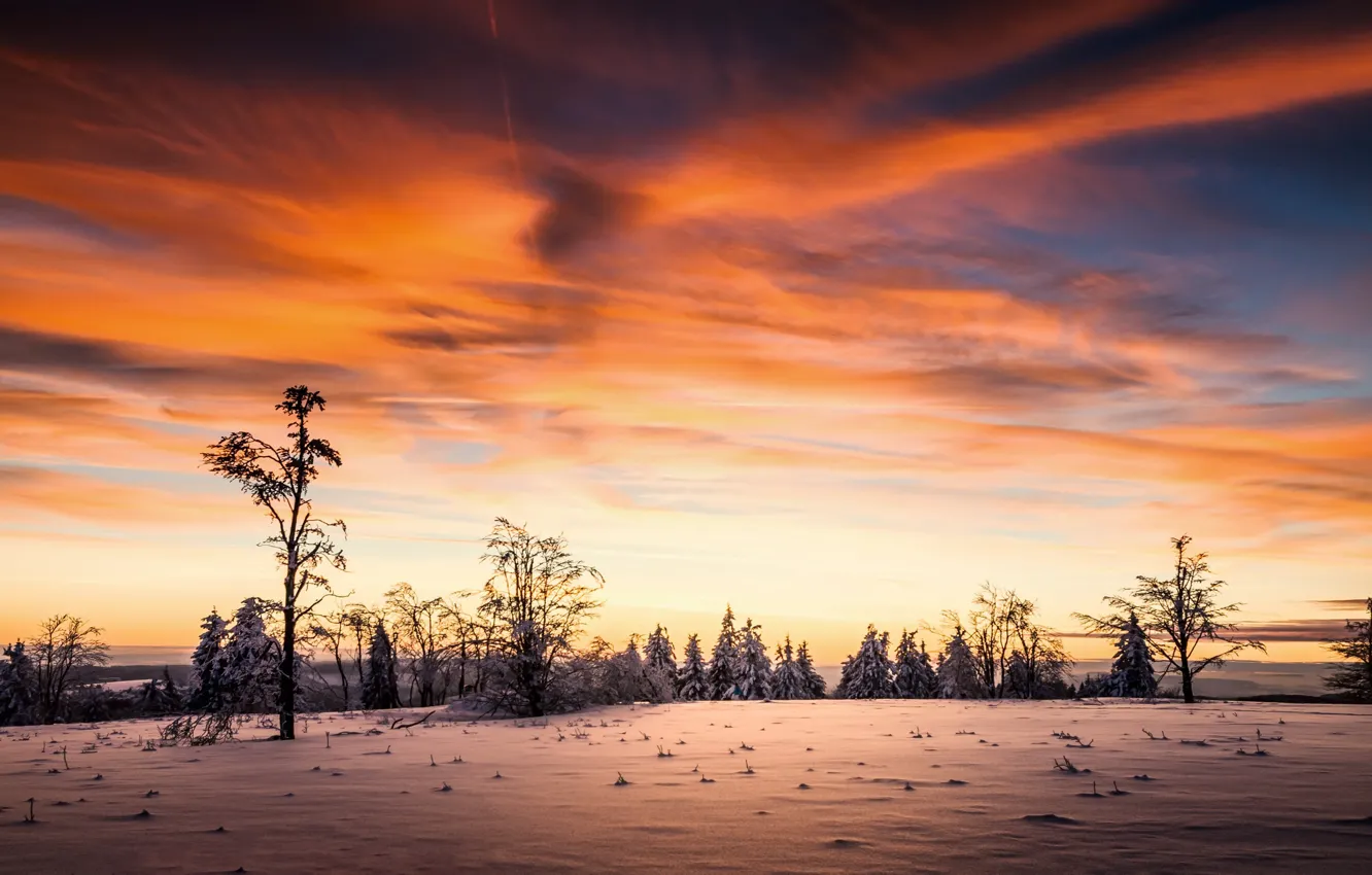 Фото обои зима, небо, закат