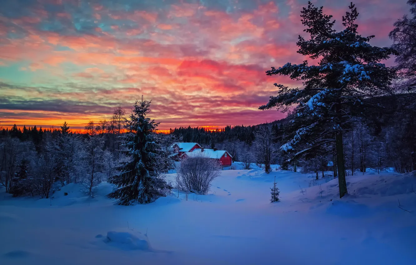 Фото обои зима, лес, небо, облака, снег, закат, дом, краски