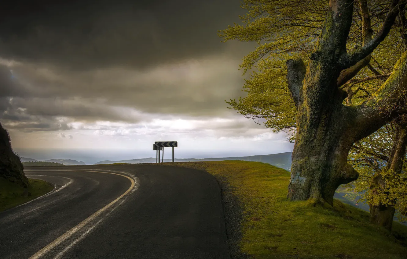 Фото обои дорога, небо, дерево, поворот