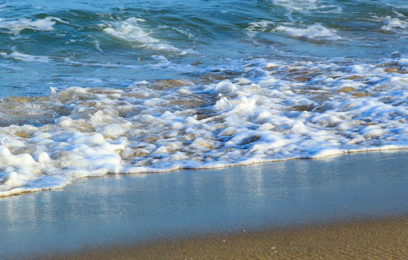 Фото обои beach, sea, ocean, water