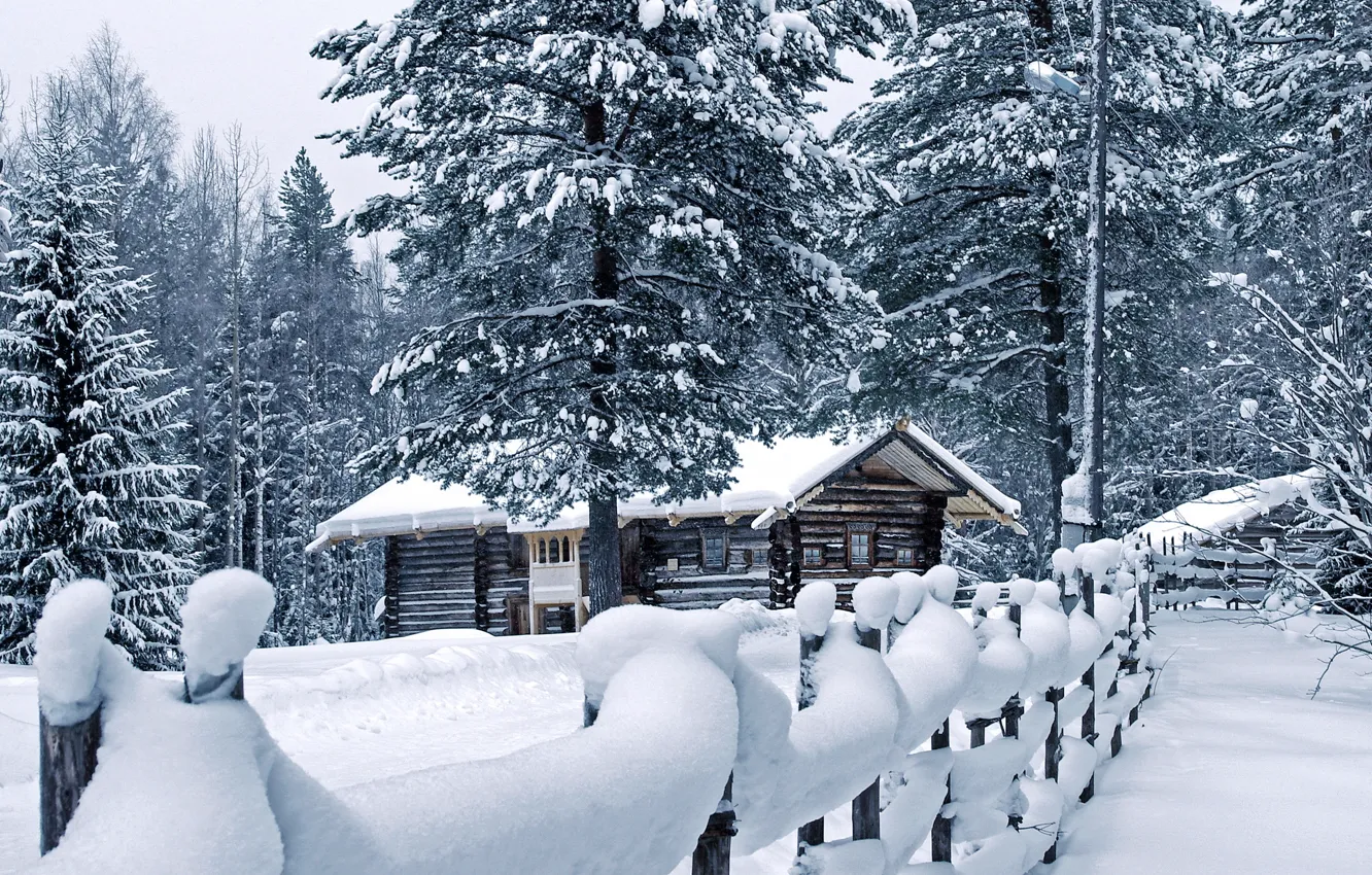 Фото обои зима, снег, дом, забор, сугробы, сосны, погода