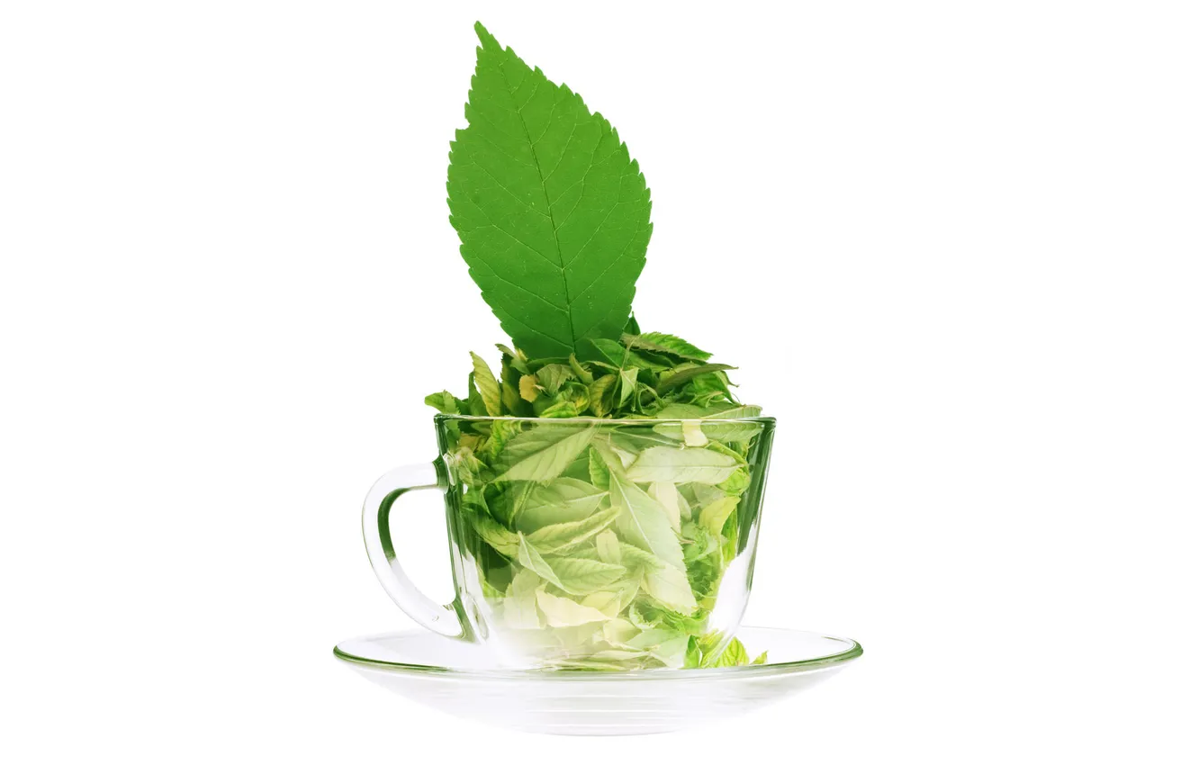 Фото обои стекло, зеленый, чай, листок, чашка