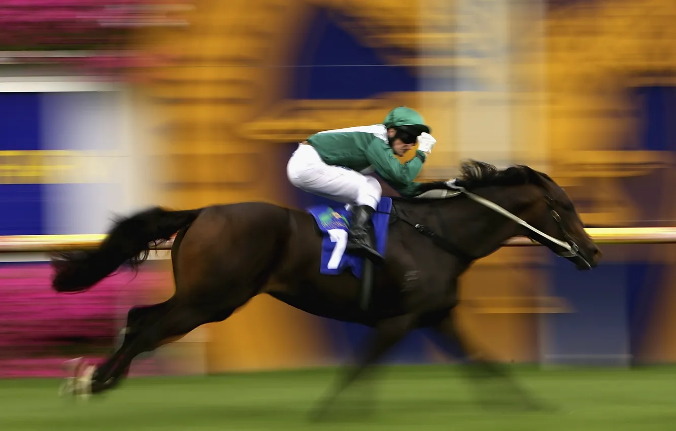 Фото обои конь, спорт, скорость, бег, всадник